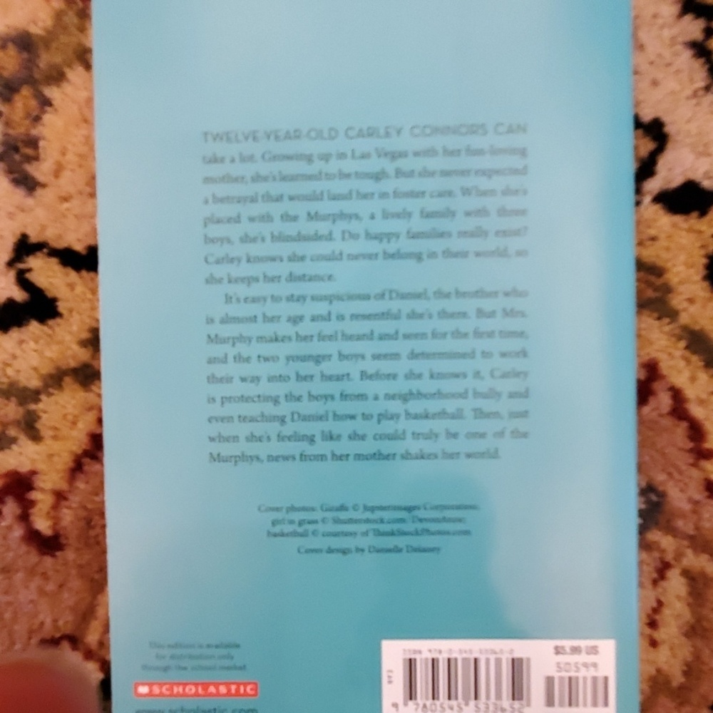 Chapter Book Bundle - Picture 2 of 8